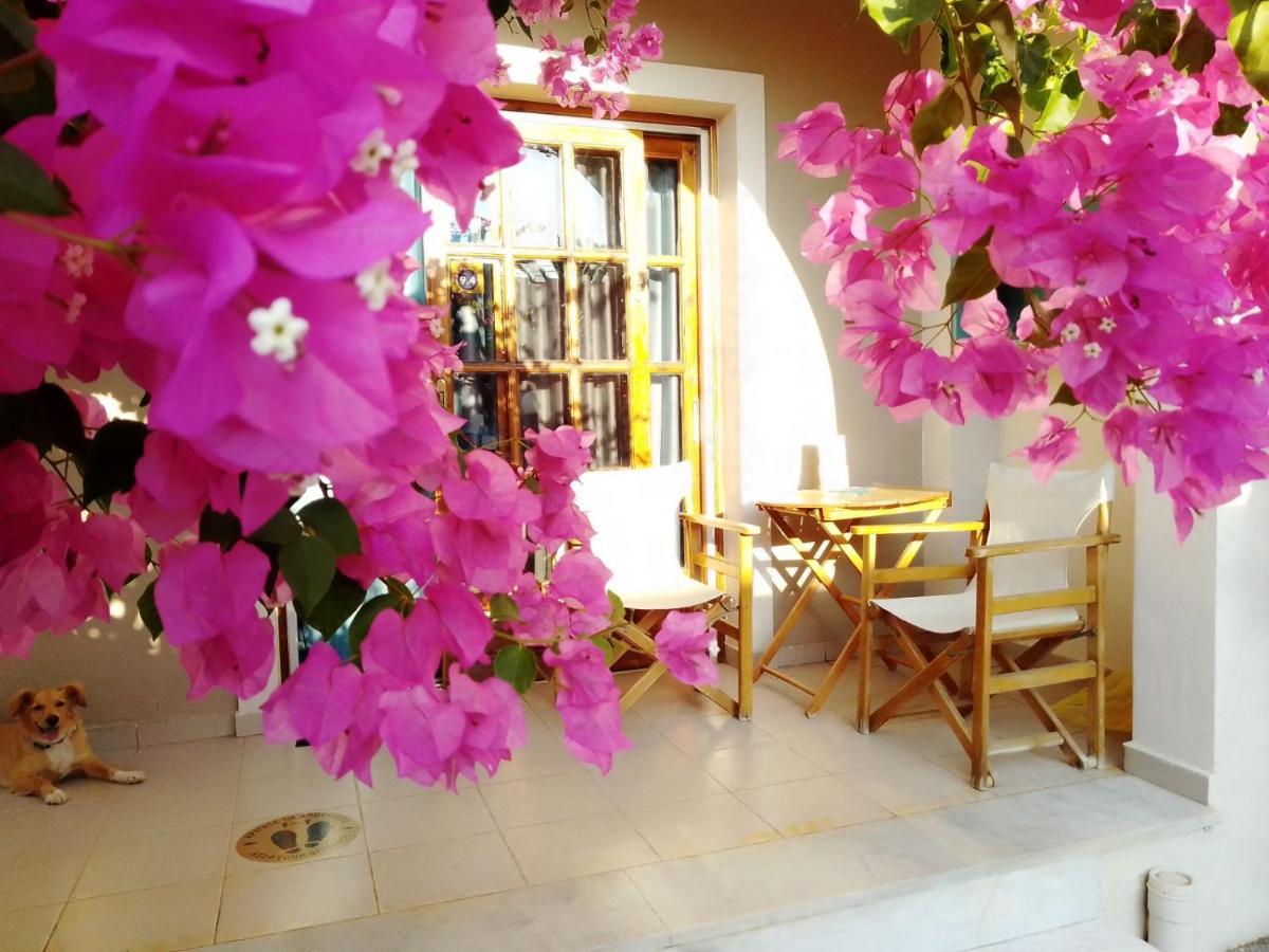 Irini Apartments Platanés Extérieur photo